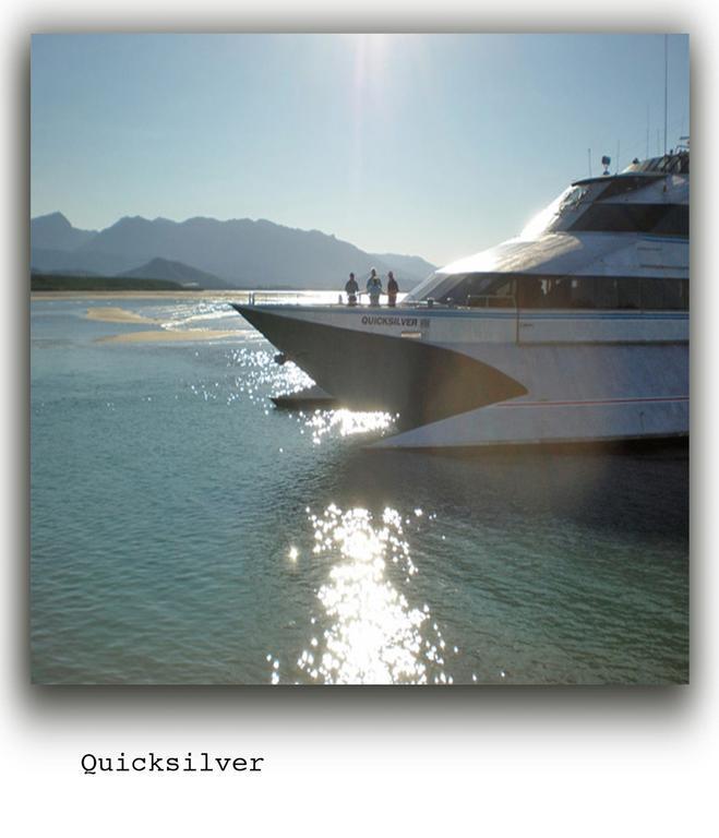 Port Douglas Apartments - Adults Only Oasis Esterno foto
